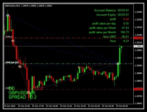 The king Hedging Forex MT4 V2.0 3