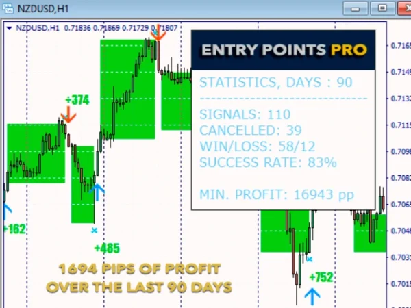 Entry Points Pro Indicator mql5 6